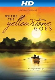 Where the Yellowstone Goes