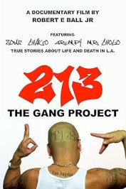 213 - The Gang Project