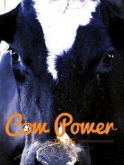 Cow Power: The Film