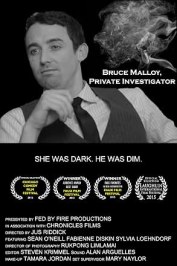 Bruce Malloy, Private Investigator