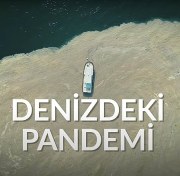 Denizdeki Pandemi - Musilaj