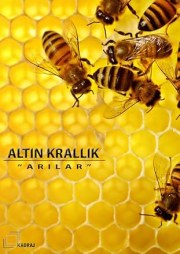 Altin Krallik
