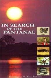 In Search of the Pantanal