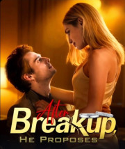 After Breakup, He Proposes