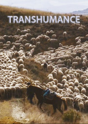 Back to the Roots: Trashumancia