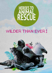 Heroes to Animals Rescue