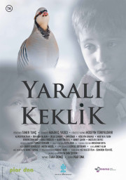 Injured Partridge