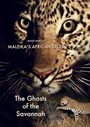 Leopards: The Ghosts of the Savannah