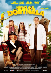 Niyazi Gül: Dörtnala