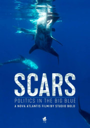 Scars: Politics in the Big Blue